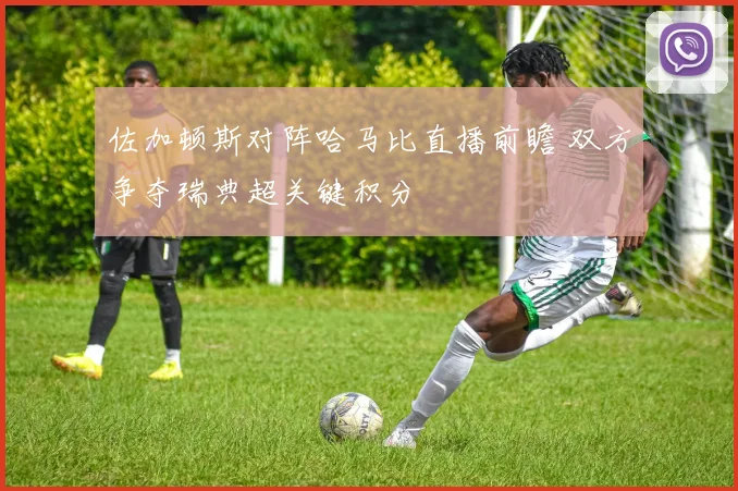 佐加顿斯对阵哈马比直播前瞻 双方争夺瑞典超关键积分