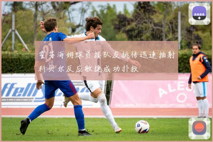 霍芬海姆球员接队友挑传迅速抽射科贝尔反应敏捷成功扑救