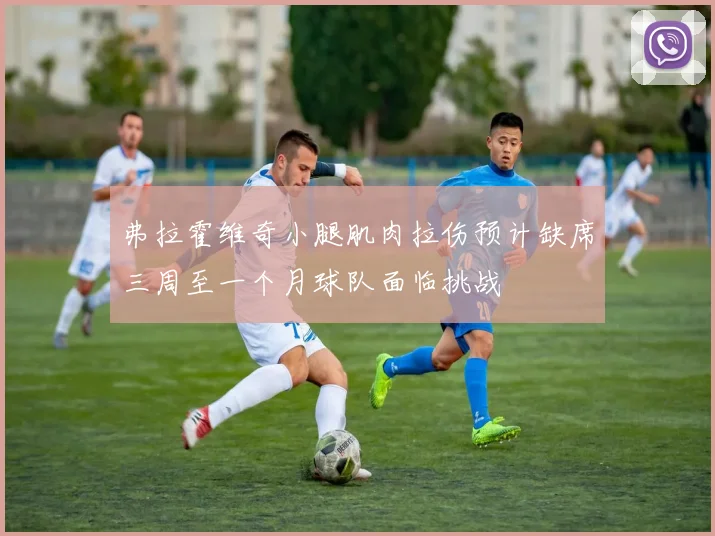弗拉霍维奇小腿肌肉拉伤预计缺席三周至一个月球队面临挑战